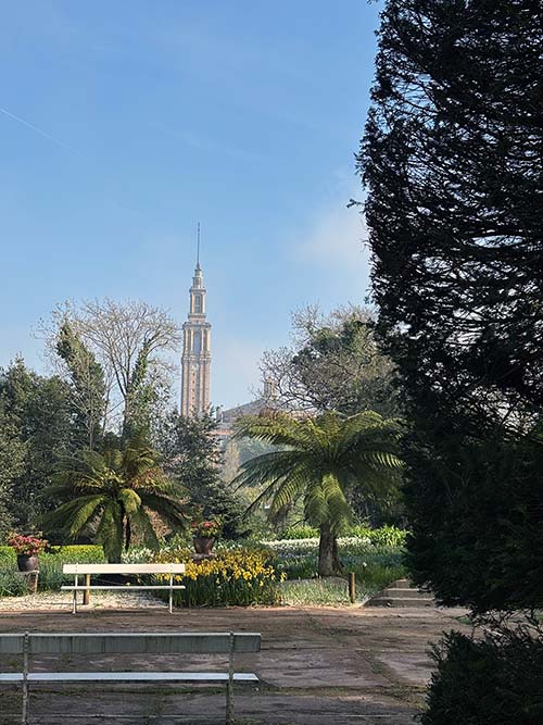 Entorno del Jardín de la Isla en el botánico de Gijón