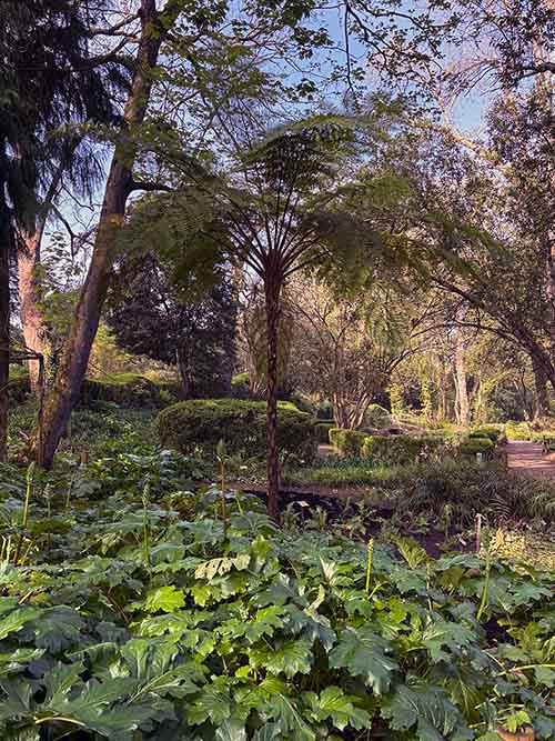 Entorno del Jardín de la Isla en el botánico de Gijón
