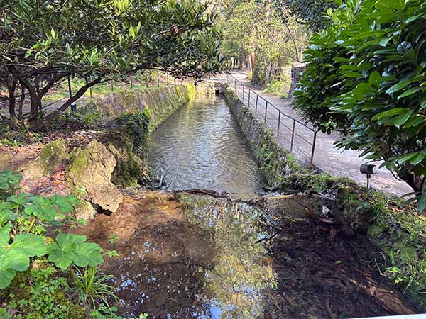 Río Peñafrancia a su paso por el jardín botánico de Gijón
