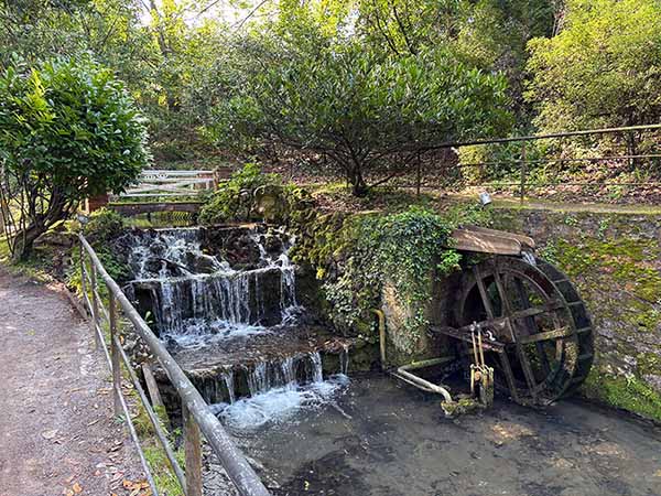 Río Peñafrancia a su paso por el jardín botánico de Gijón
