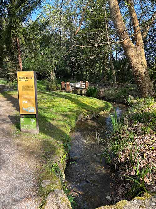 Bosques de bioma boreal europeo en el jardín botánico de Gijón
