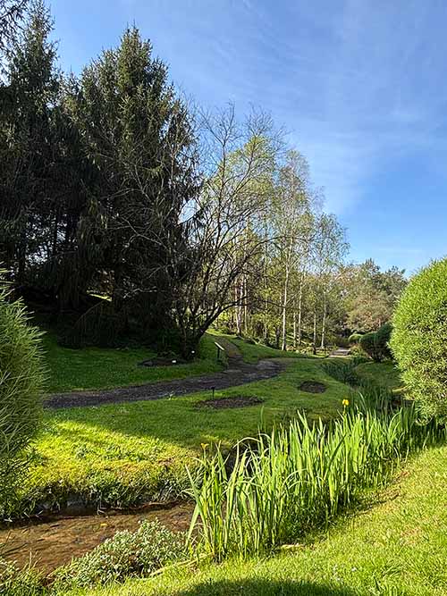 bioma boreal europeo en el jardín botánico de Gijón