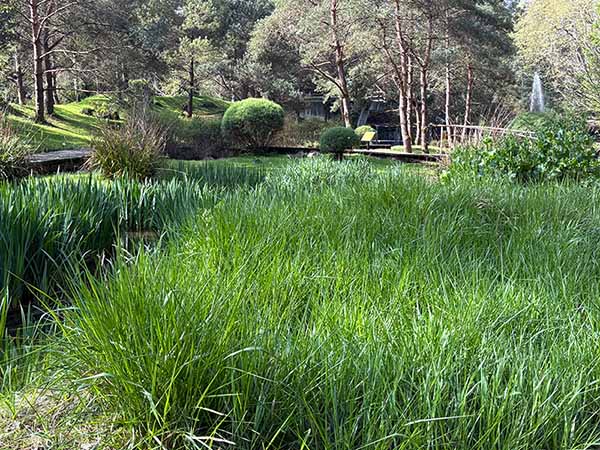 bioma boreal europeo en el jardín botánico de Gijón