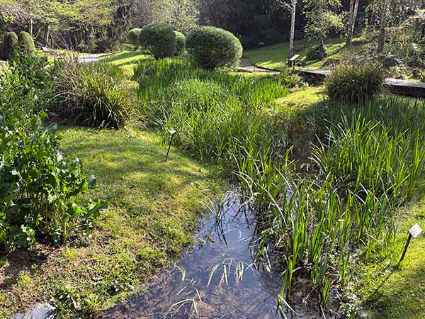 bioma boreal europeo en el jardín botánico de Gijón