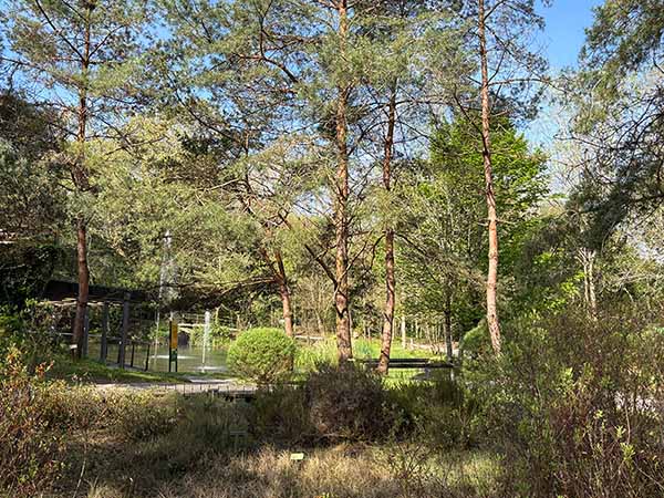 Bosques de bioma boreal europeo en el jardín botánico de Gijón