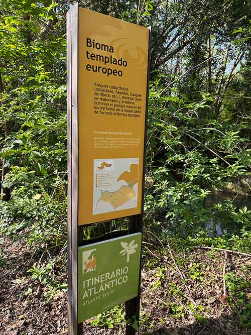 Bosques de bioma templado europeo en el jardín botánico de Gijón
