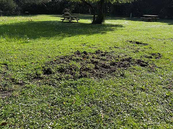 Área de mesas de picnic para comer el interior del jardín botánico de Gijón
