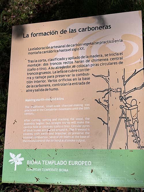 Formación de las carboneras en el jardín botánico de Gijón