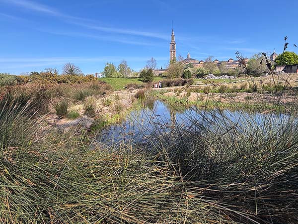 Recreación de un entorno de marisma en el botánico de Gijón
