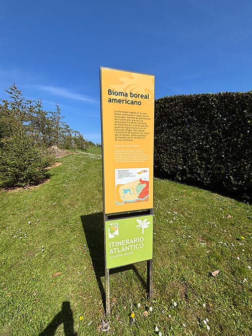 Bosques de bioma boreal americano en el jardín botánico de Gijón