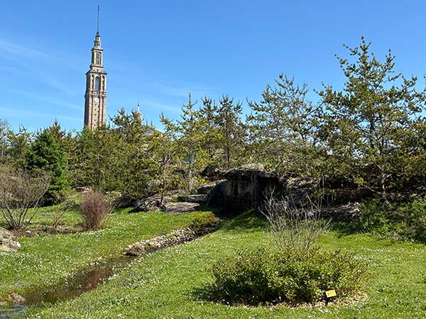 Bioma boreal americano en el jardín botánico de Gijón