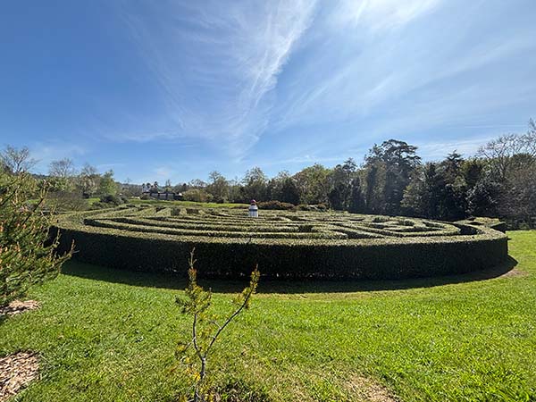 Laberinto de laurel en el jardín botánico de Gijón