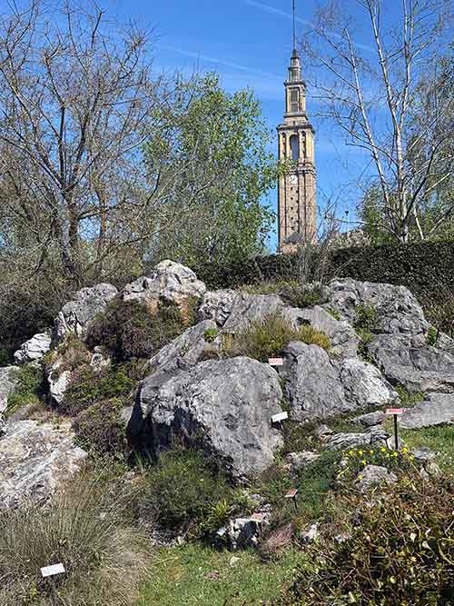 Recreación de un entorno de alta montaña en el botánico de Gijón