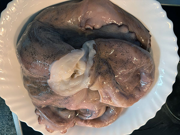 Pulpo asturiano de pedrero para preparar pulpo con patatinas