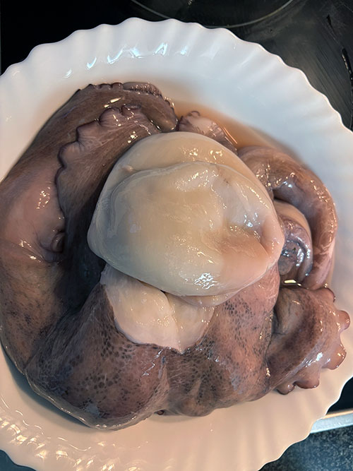 Pulpo asturiano de pedrero para preparar pulpo con patatinas