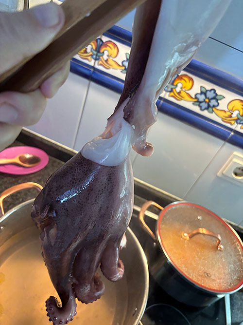 Escaldando el pulpo