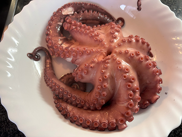 Pulpo cocido para preparar pulpu de pedreru con patatines