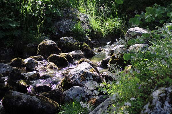 Imágenes bonitas tomadas en Bulnes en Asturias