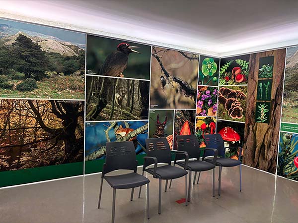 Centro de interpretación de la sierra del Sueve en Gobiendes en Asturias