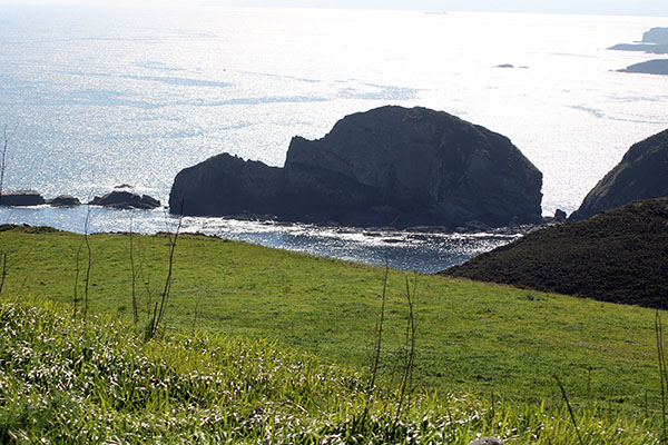 Isla de la Tortuga en cabo Peñas en Asturias