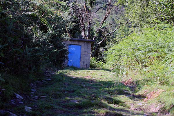 Hayedo de la Biescona en la cordillera del Sueve en Asturias