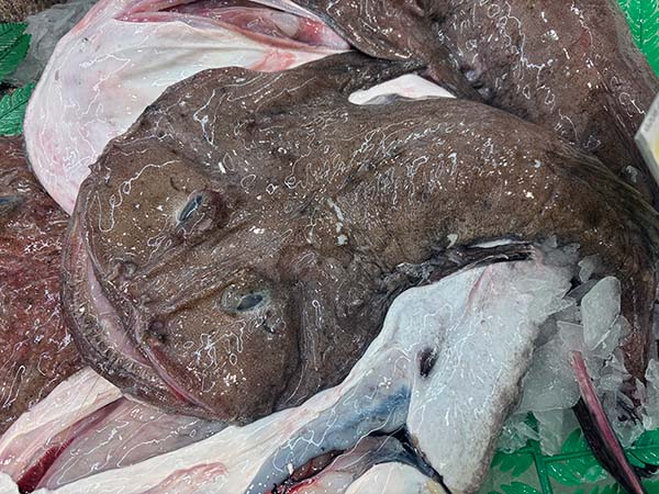 Rape o Pixín en Asturias, pez de fondo exquisito en el plato