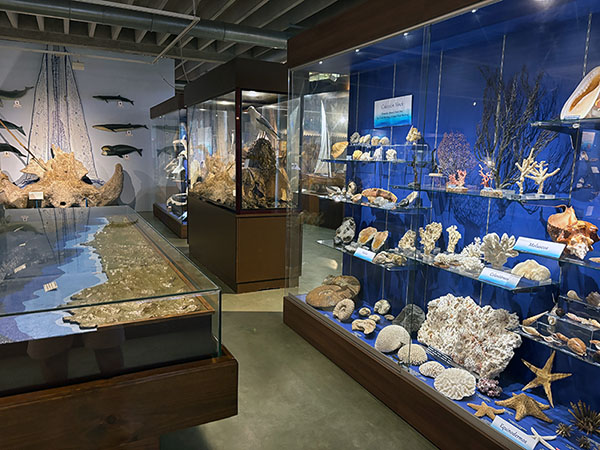 Exposiciones permanentes del Museo Marítimo de Asturias en Luanco