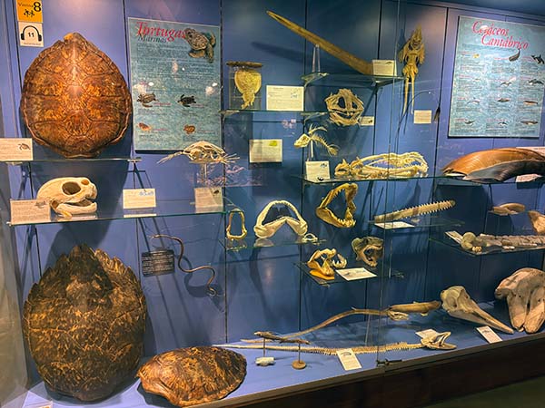Exposiciones permanentes del Museo Marítimo de Asturias en Luanco