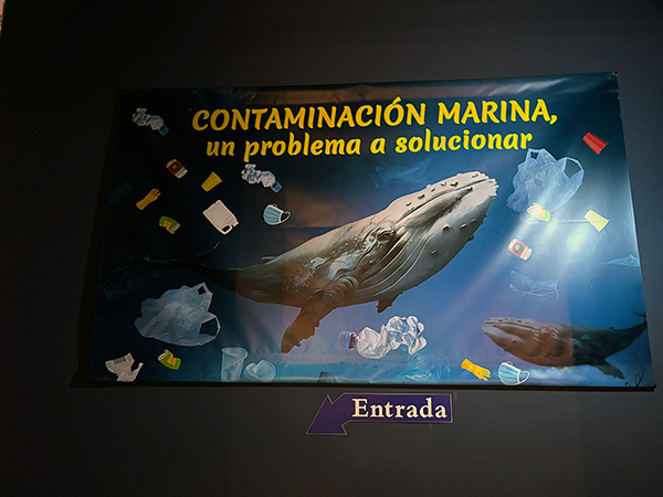 Exposiciones temporales del Museo Marítimo de Asturias en Luanco