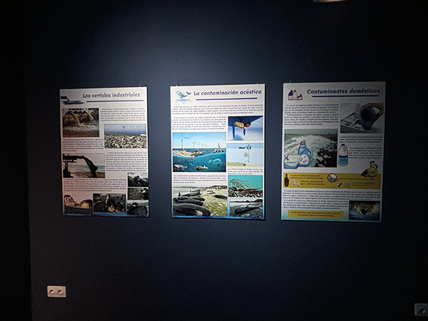Exposiciones temporales del Museo Marítimo de Asturias en Luanco