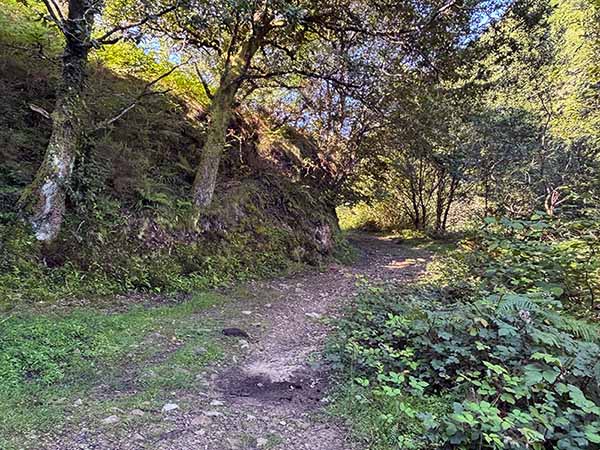 Camino de la Biescona en la sierra del Sueve en Asturias