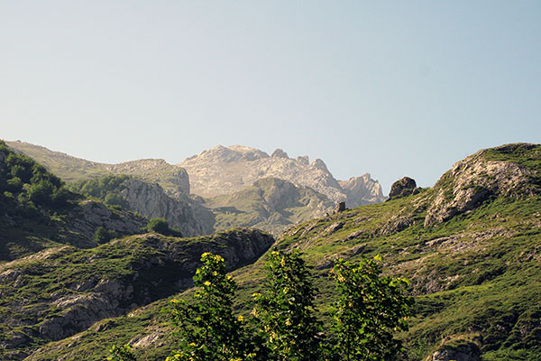 Pastos de montaña para el ganado vaqueiro