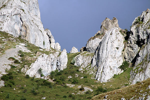 Pastos de las zonas altas de montaña propias de la trashumancia vaqueira