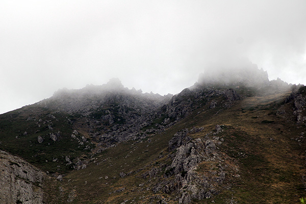 Pastos altos de la cordillera Cantábrica
