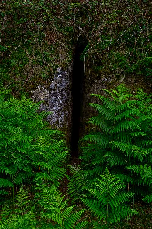 Entrada de la cueva "la boca del lobo" en la sierra del Cuera en Llanes