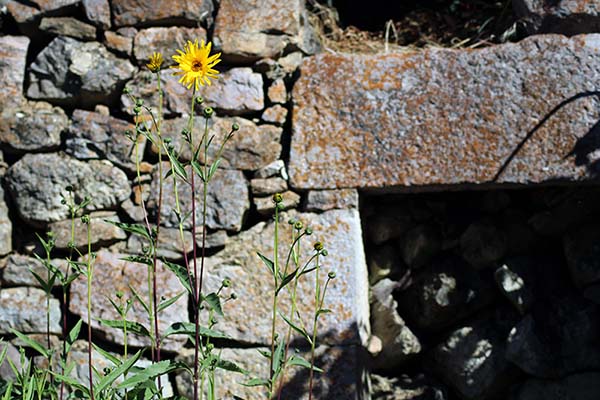 La Asturias deshabitada