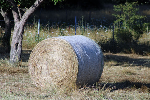 Silo de hierba secando