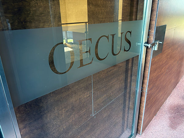 Oecus ceremonial en la villa romana de Veranes en Gijón