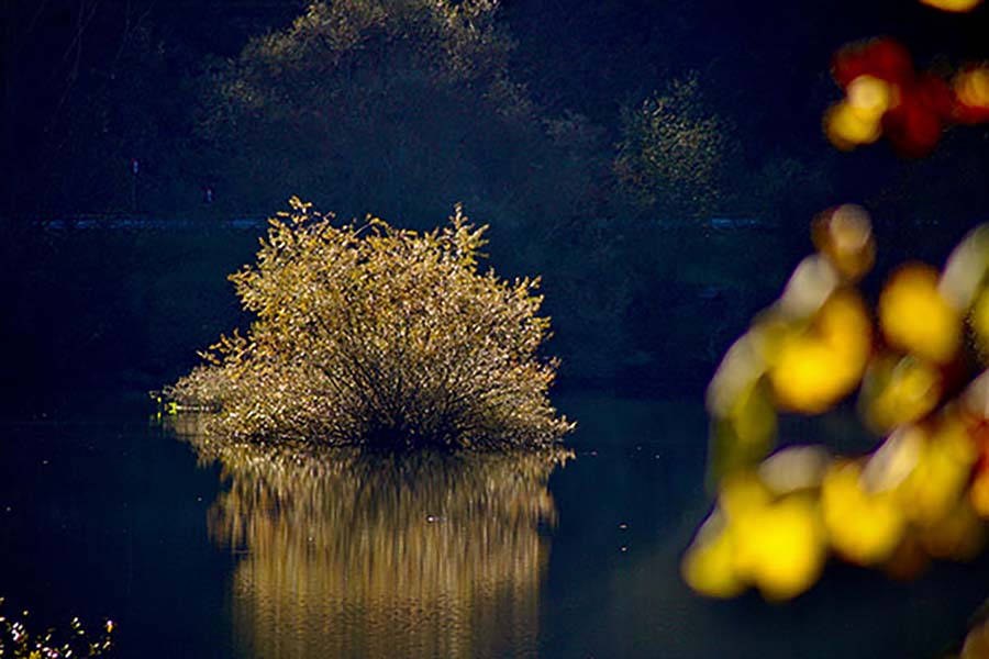 Los colores del otoño en los bosques de Asturias