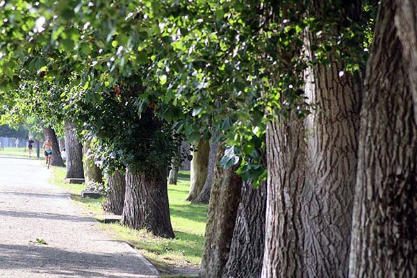 Circuito "el kilometrín" dentro del parque Isabel la Católica de Gijón