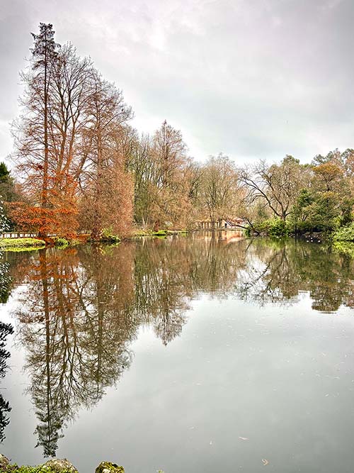 Reflejos en el estanque del parque Isabel la Católica de Gijón