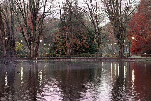 Reflejos en el estanque del parque Isabel la Católica de Gijón