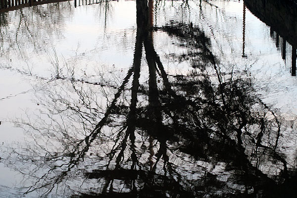 Reflejos en el estanque del parque Isabel la Católica de Gijón