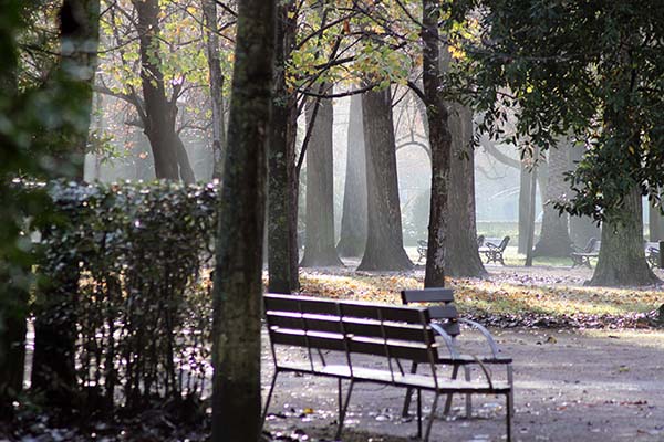 Multitud de bancos en el parque Isabel la Católica en Gijón