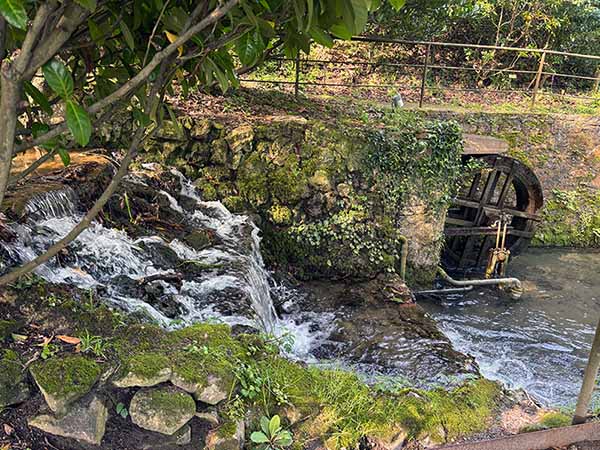 Noria para riego en el interior del Jardín Botánico de Gijón