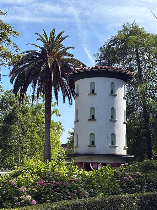 Palomar en el parque Isabel la Católica en Gijón