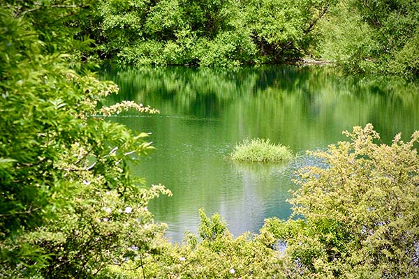 Embalse en verano en Asturias
