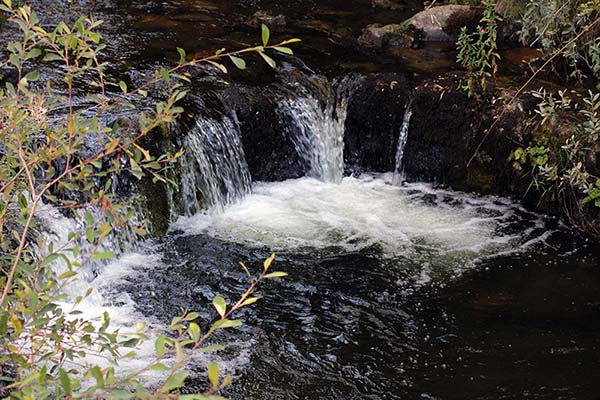Poza en un arroyo, lugar habitual para la presencia de "Xanas" asturianas