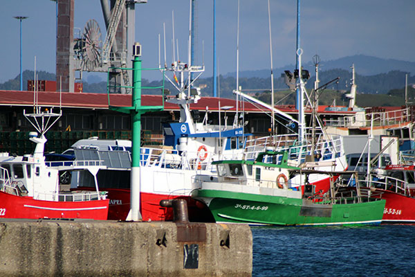Barcos de la flota de bajura amarrados en el puerto del Musel en Gijón