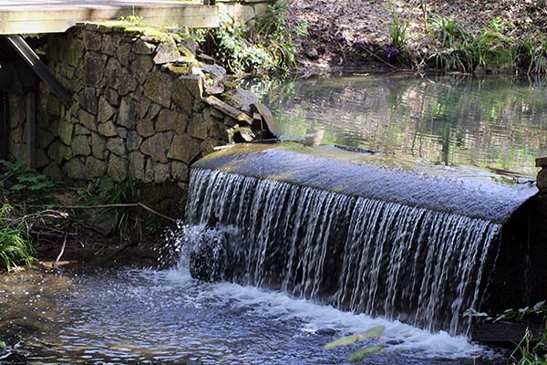 Pequeña cascada en el jardín botánico de Gijón
